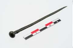 Foto von Kugelkopfnadel (NHMW-PRAE-024367)
